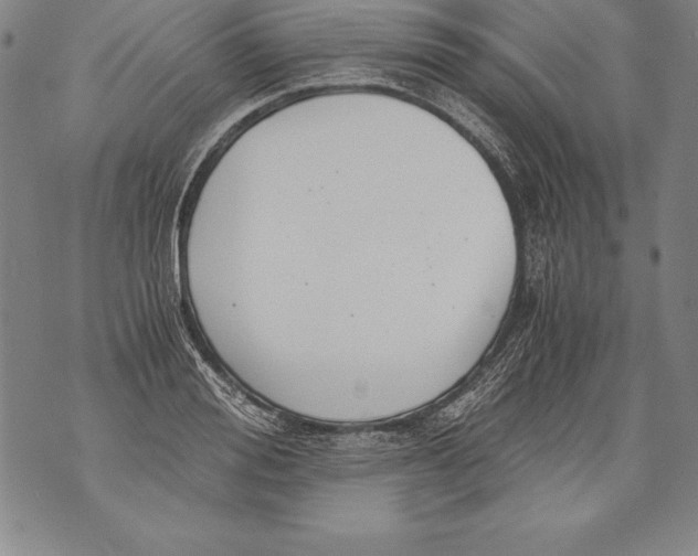 X0000076090988200610152314