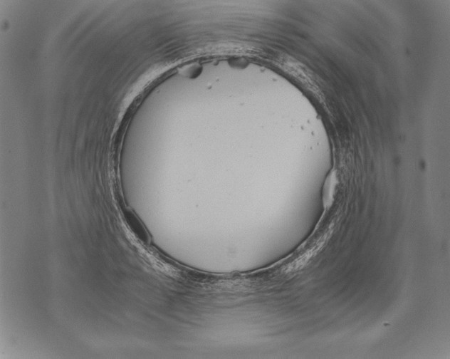 X0000076090989200610152314