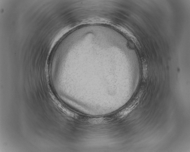 X0000076090990200610152314