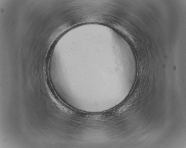 X0000076090991200610152314