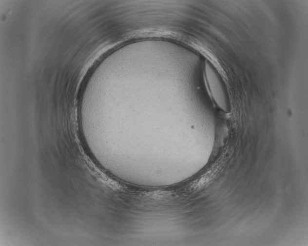 X0000076090992200610152314