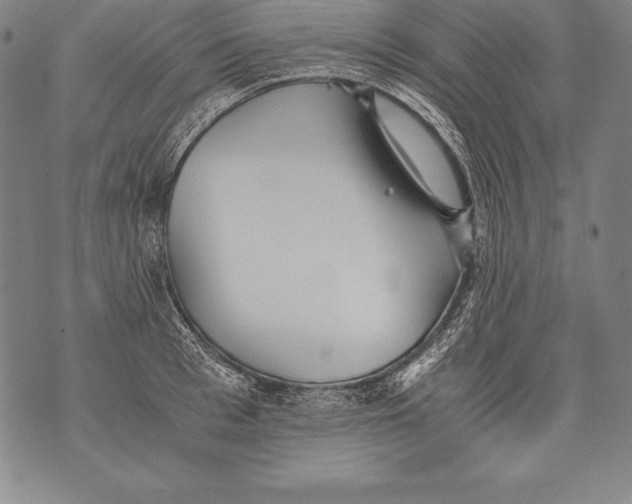 X0000076090993200610152314