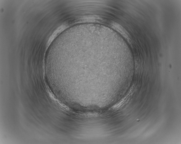 X0000076090994200610152314