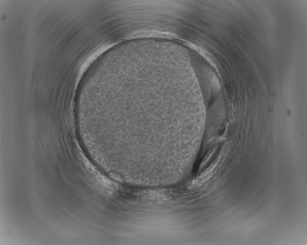 X0000076090995200610152314