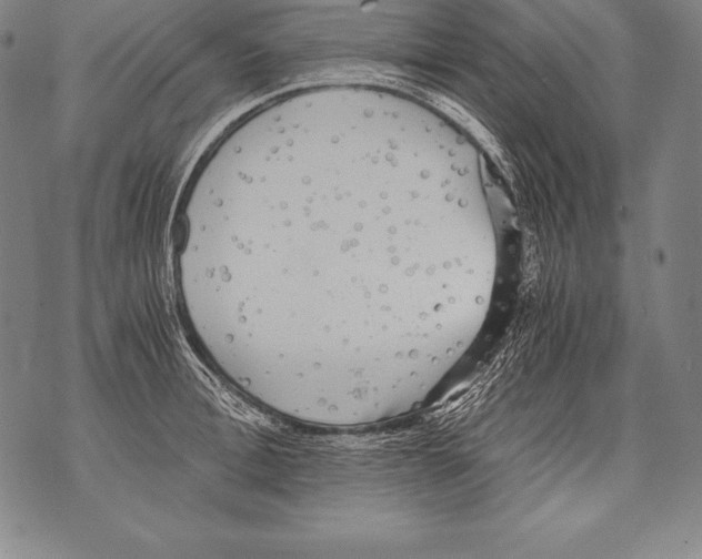 X0000076090996200610152314