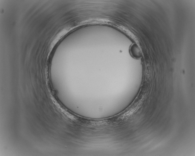 X0000076090997200610152314