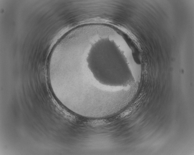 X0000076090998200610152314