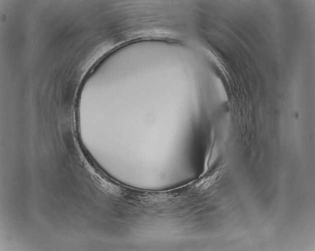 X0000076090999200610152314