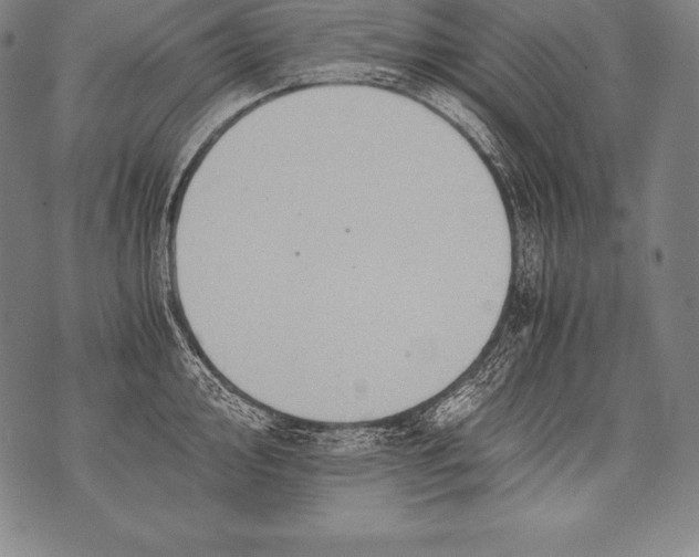 X0000076091000200610152314