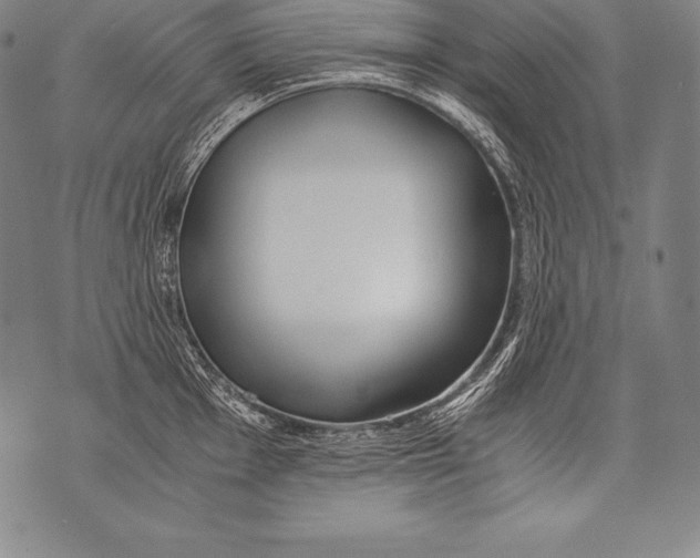 X0000076091001200610152314