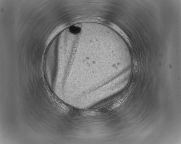 X0000076091002200610152314