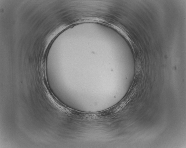 X0000076091003200610152314