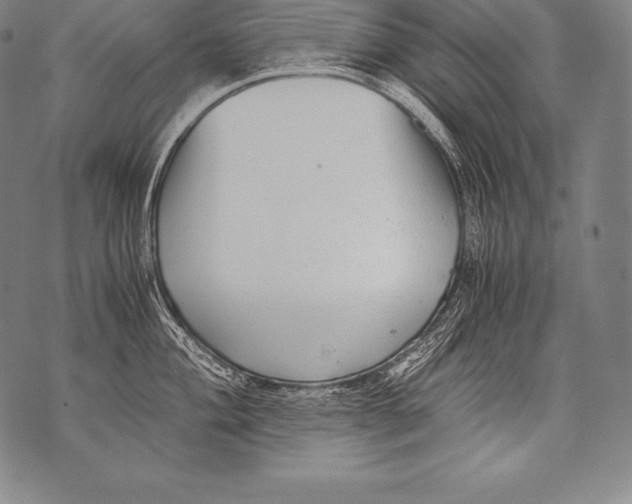 X0000076091004200610152314