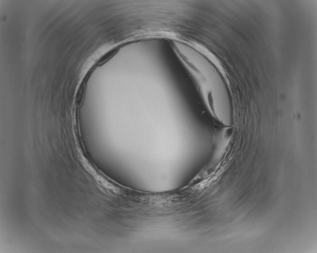 X0000076091005200610152314