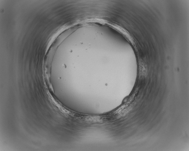 X0000076091006200610152314