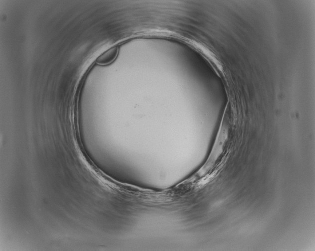 X0000076091007200610152314