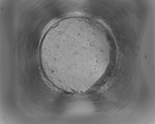 X0000076091008200610152314