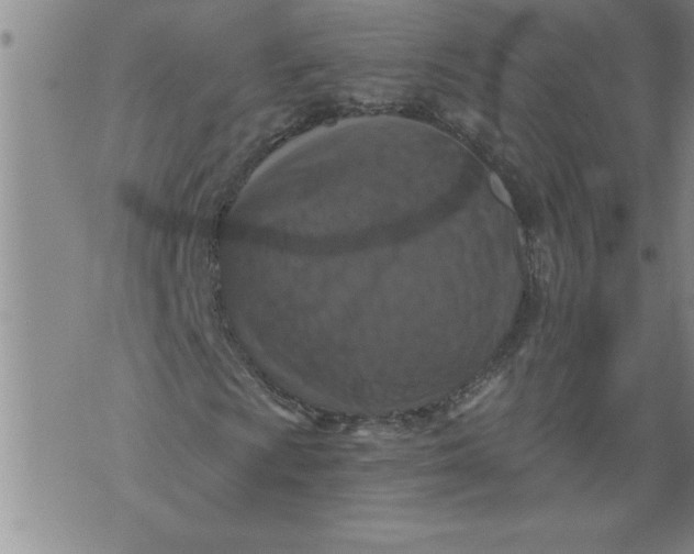 X0000076091009200610152313