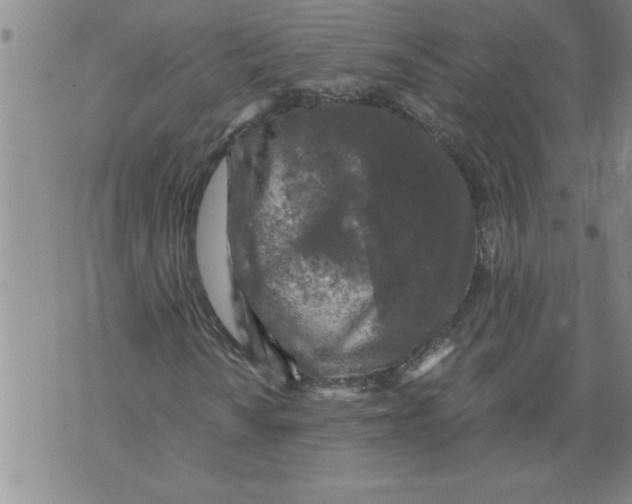 X0000076091010200610152313