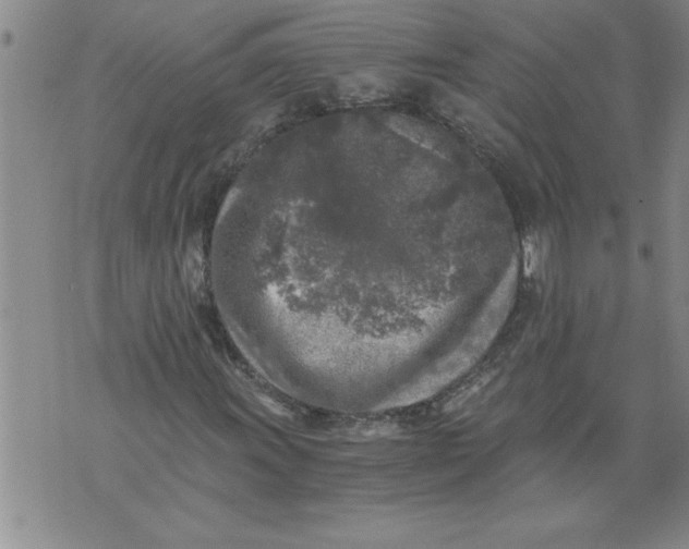 X0000076091011200610152313