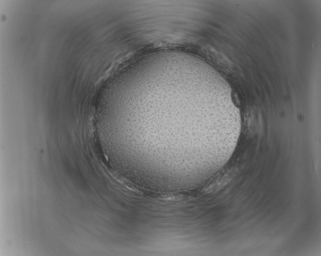 X0000076091012200610152313