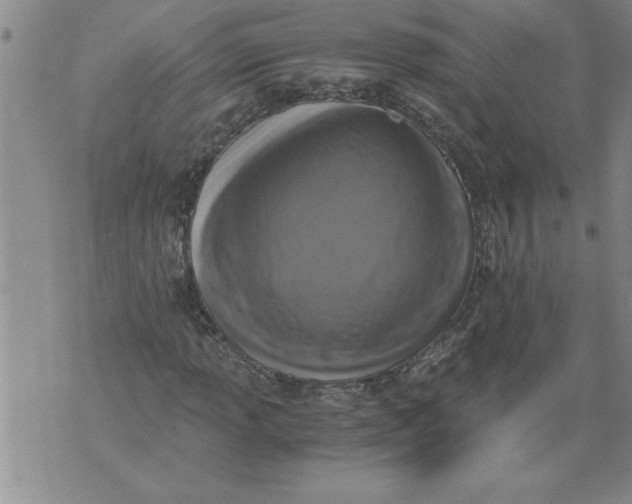 X0000076091013200610152313