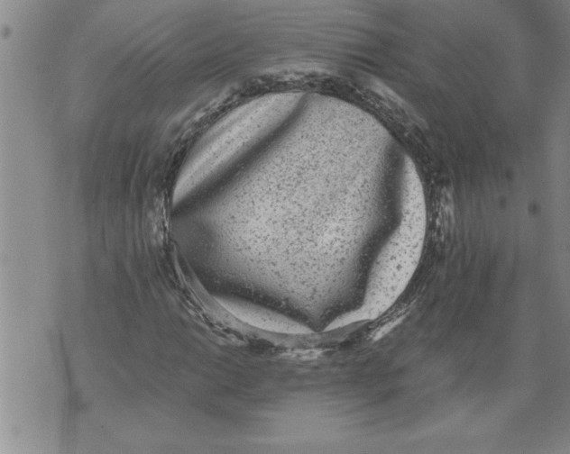 X0000076091014200610152313