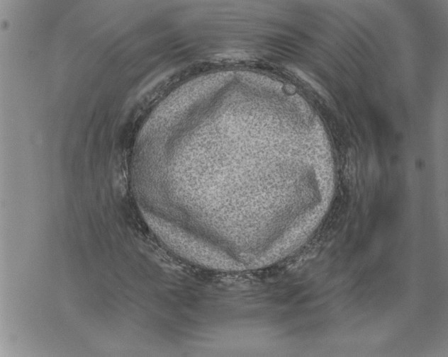 X0000076091015200610152313