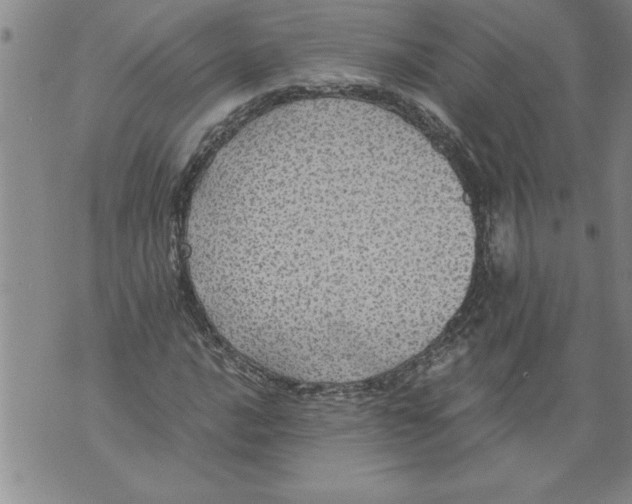 X0000076091016200610152313