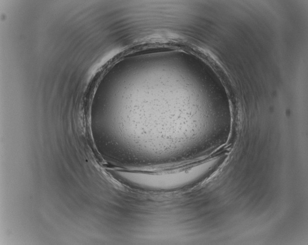 X0000076091018200610152313