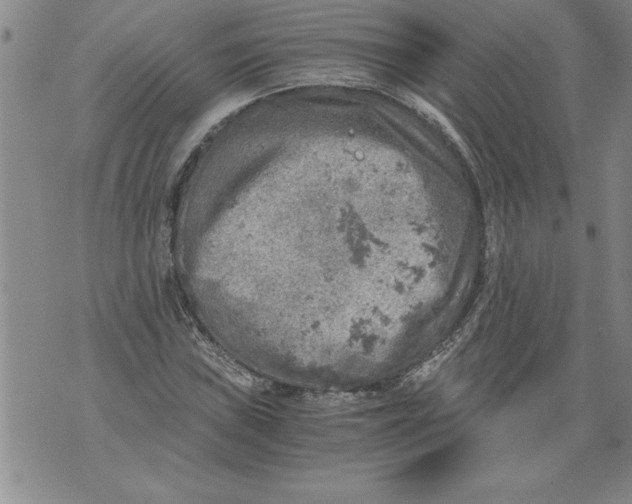 X0000076091019200610152313