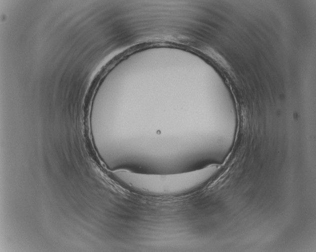 X0000076091020200610152313