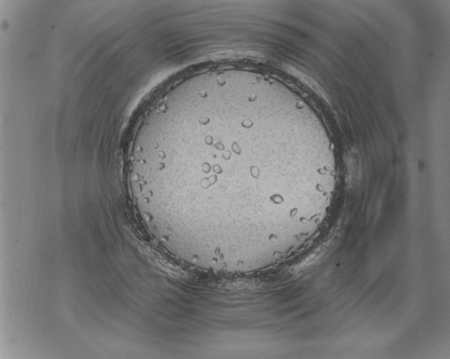 X0000076091021200610152313