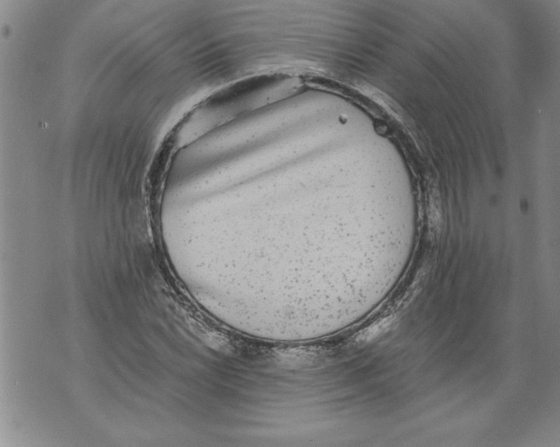 X0000076091022200610152313