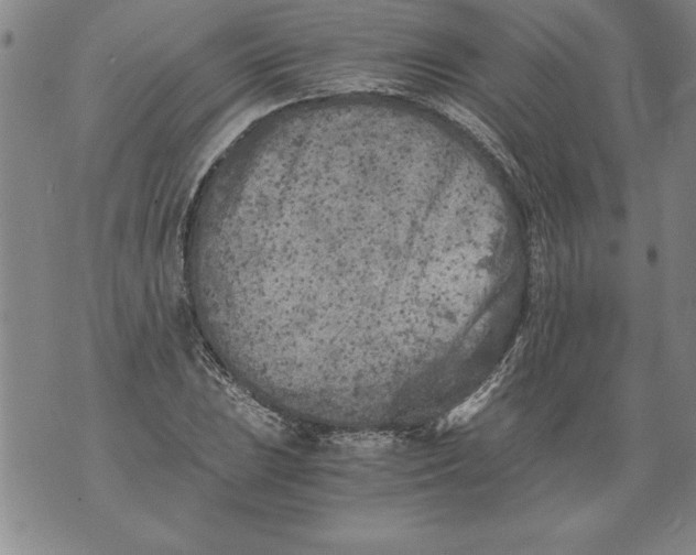 X0000076091023200610152313