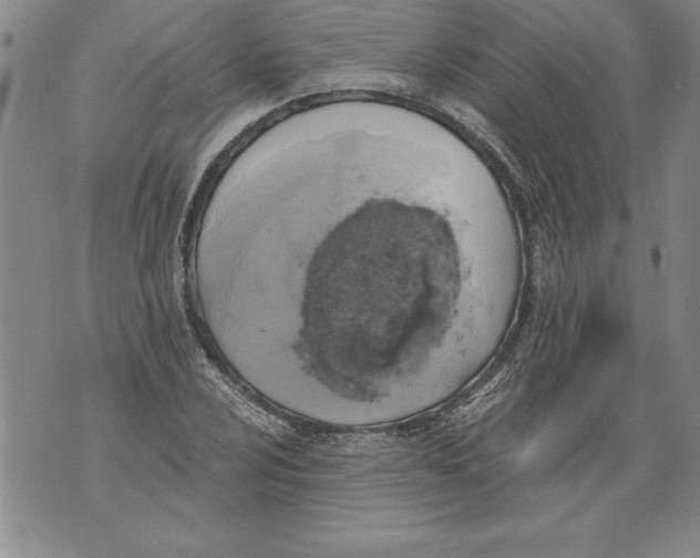 X0000076091024200610152313