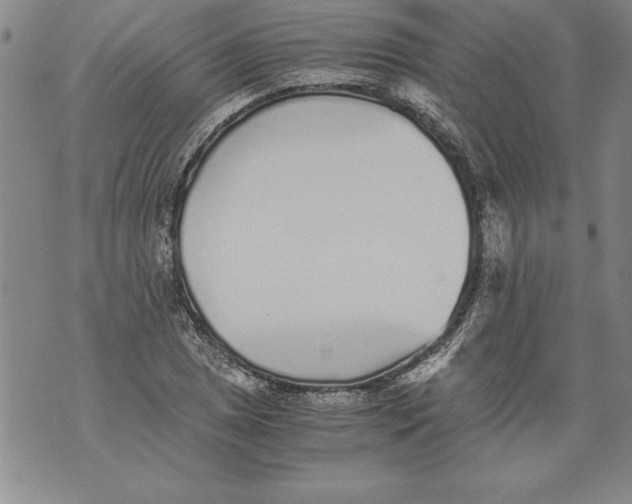 X0000076091025200610152313