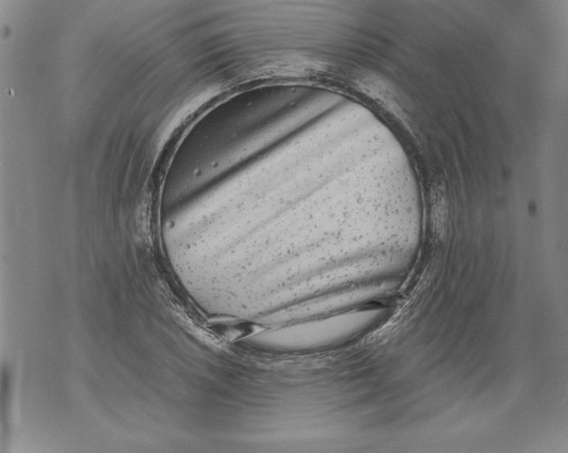 X0000076091026200610152313