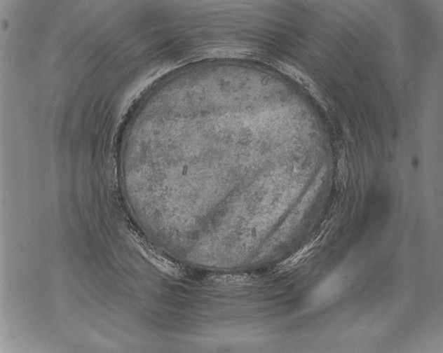 X0000076091027200610152313