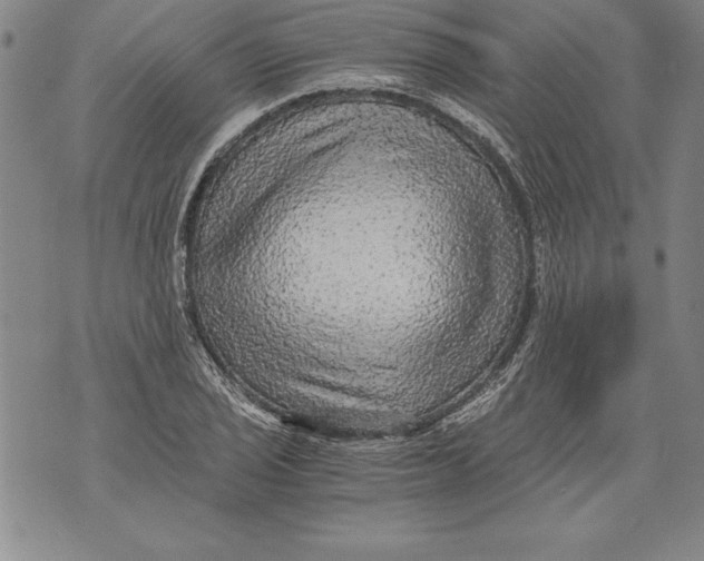 X0000076091029200610152313