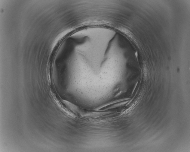 X0000076091030200610152313