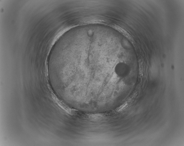 X0000076091031200610152313