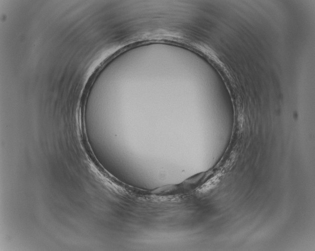 X0000076091032200610152313