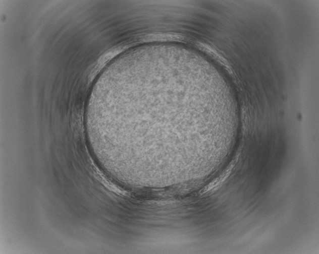 X0000076091033200610152313