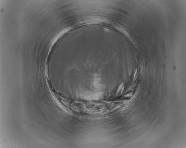 X0000076091034200610152313