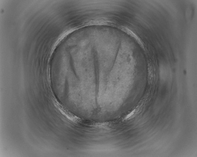 X0000076091035200610152313