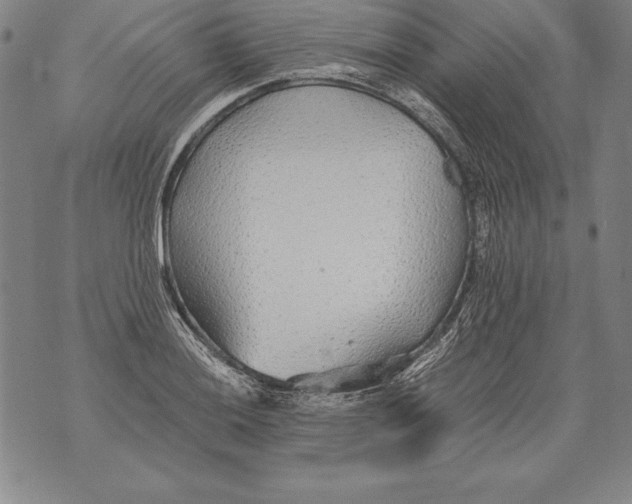 X0000076091036200610152313