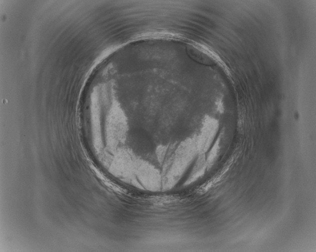 X0000076091037200610152313