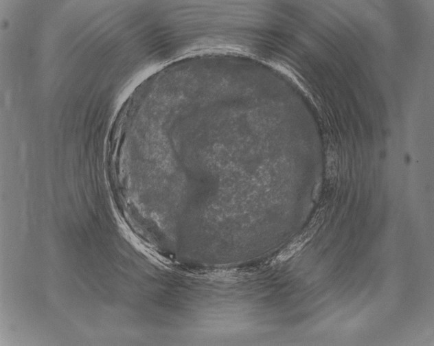 X0000076091038200610152313