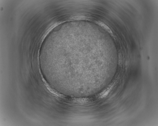 X0000076091039200610152313